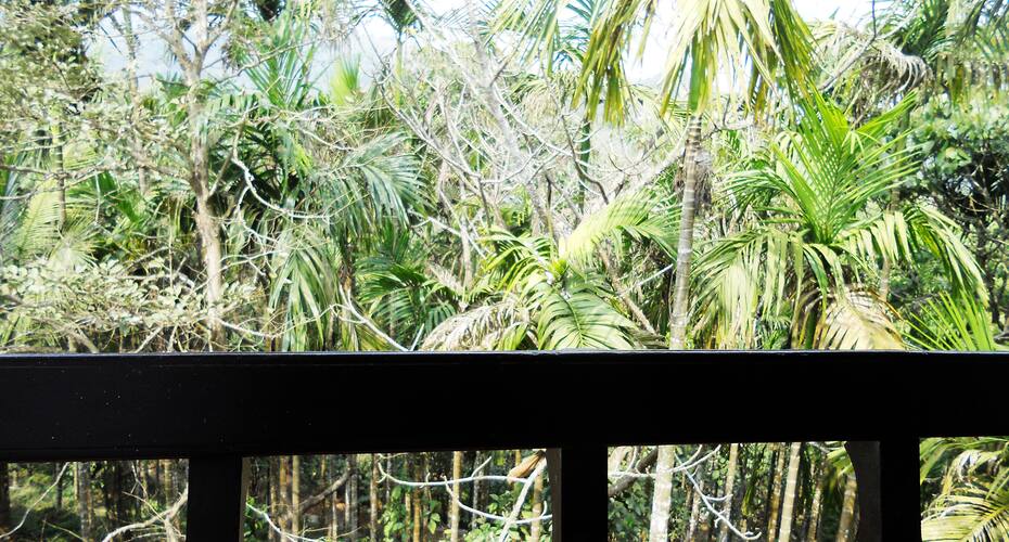 Vinayaka Guest House, Wayanad 3